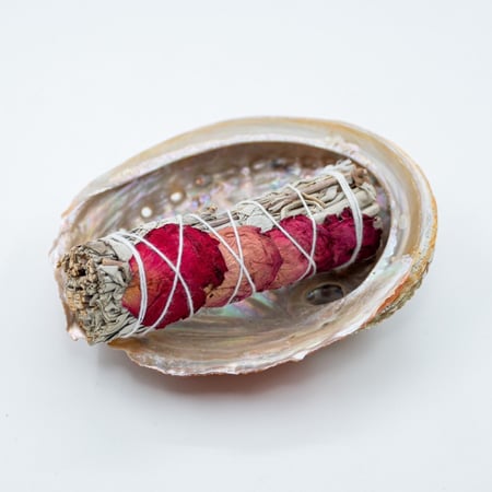 الميرمية البيضاء + قاعدة صدف