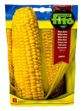 بذور ذرة حلوة جوبيلي باكت 10 غم - اسباني