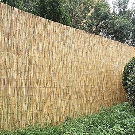 سياج الخيزران الطبيعي