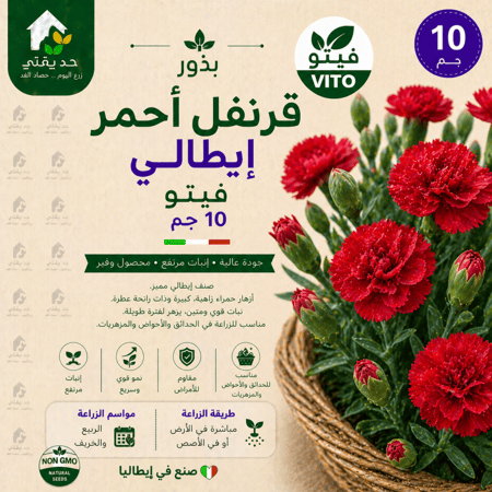 بذور قرنفل احمر ايطالي