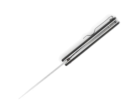 مطوى BUCK Decatur Linerlock 256BKS