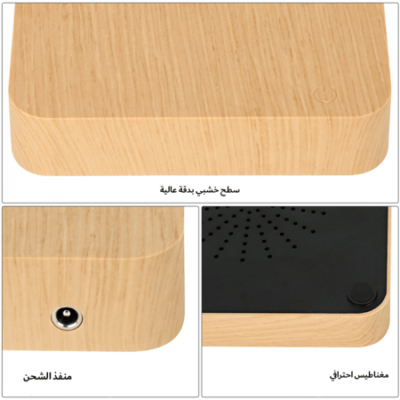 النبتة المغناطيسية