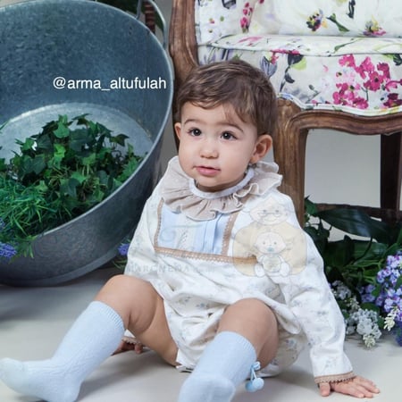 أفرول سكري مشجر