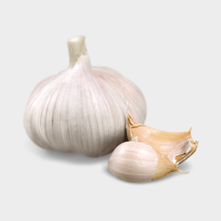 ثوم خيش صغير