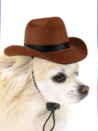 قبعة رعاة البقر للقطط والكلاب