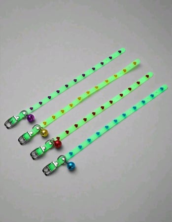 طوق مضيء للقطط