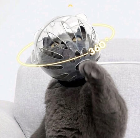 غطاء طبي لرأس القطط استخدامات متعددة