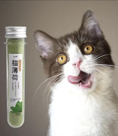 كاتنيب (نعناع بري) لزيادة حيوية ونشاط القطط