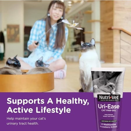 نيوتري فيت جل العناية بالمسالك البولية