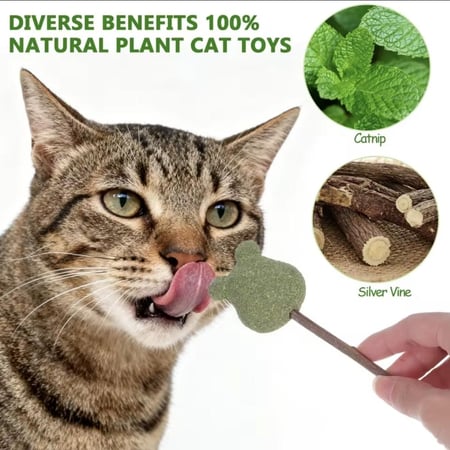 عصا الكاتنيب (النعناع البري) للعب والمضغ وزيادة طاقة وحيوية القطط