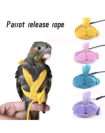 هارنس للطيور مقاسات وألوان متعددة