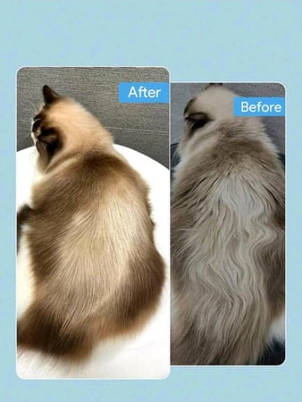 مشط هواء جاف/استشوار لتجفيف الحيوانات الأليفة