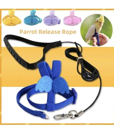 هارنس للطيور مقاسات وألوان متعددة