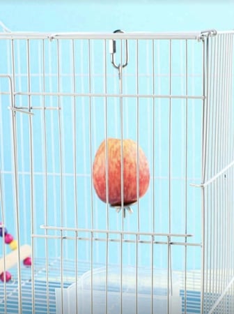 شوكة فولاذية لتغذية الطيور للاستخدام الداخلي والخارجي 28 سم