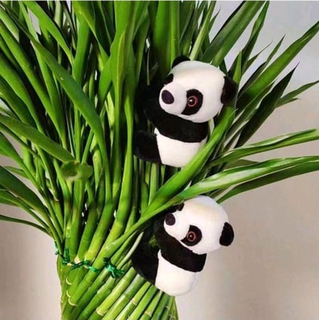 باندا لتزيين النبتات بأطراف مغناطيس