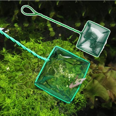 شبكة صيد الأسماك