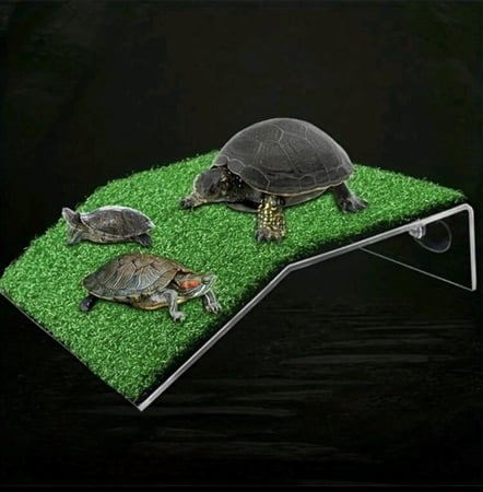 جزيرة عائمة للسلاحف البرمائية