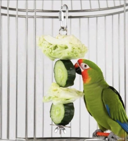 شوكة فولاذية لتغذية الطيور للاستخدام الداخلي والخارجي 28 سم