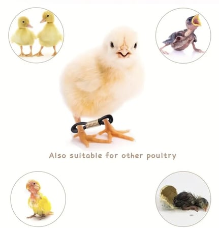 أشرطة كساح الطيور قابلة للتعديل