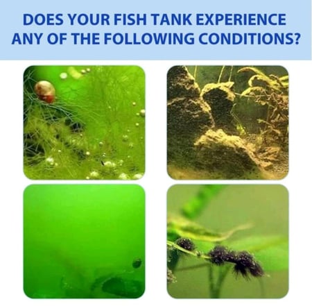 منقي مياة الأحواض 100 جم