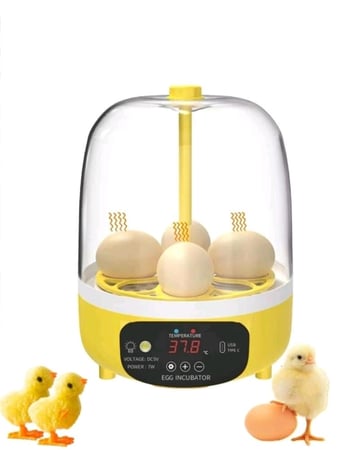 فقاسة منزلية سهلة الاستخدام سعة 7 بيضات