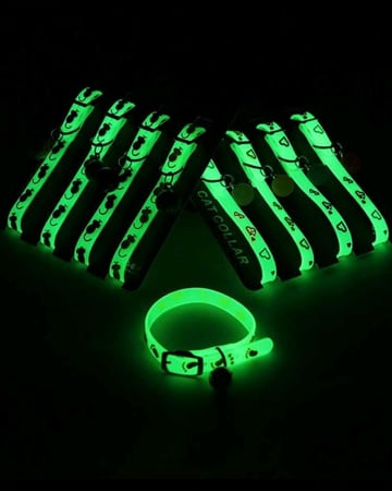 طوق مضيء للقطط