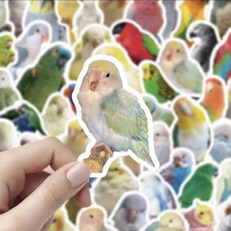 100 ملصق واقعي لطائر الببغاء الجميل
