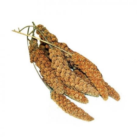 برستيج عناقيد الدخن الأصفر 100غ