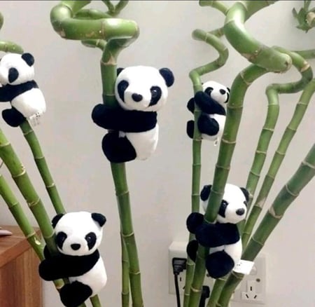 باندا لتزيين النبتات بأطراف مغناطيس