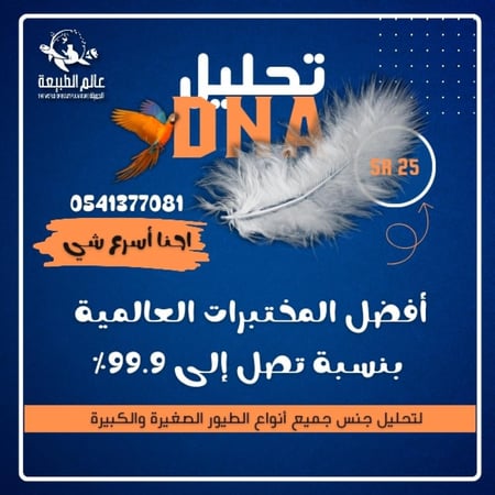 خدمة تحليل جنس الطائر DNA