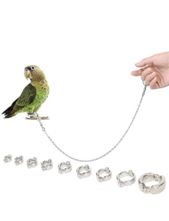 هارنس من الفولاذ المقاوم للصدأ مع خاتم للقدم 50 سم