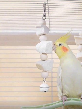 لعبة مضغ للببغاوات من عظم الحبار والخرز الخشبي