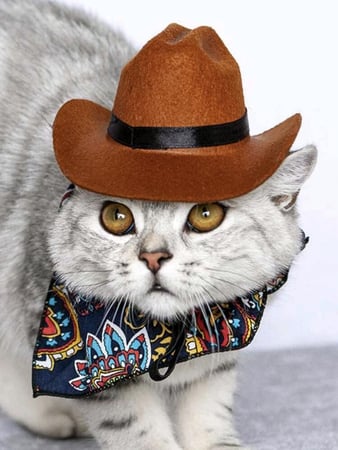 قبعة رعاة البقر للقطط والكلاب