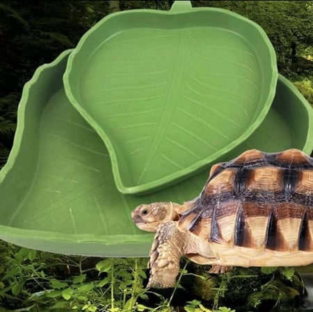 وعاء تغذية السلاحف والزواحف