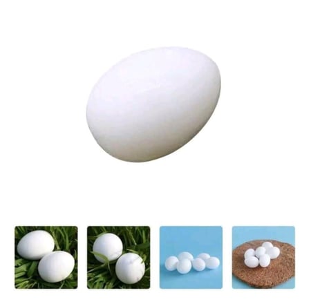 بيضة صناعية حجم بيضة الحمامة