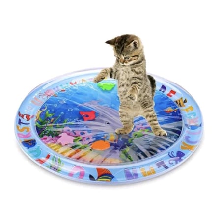 لعبة الأحياء البحرية تفاعلية للقطط والكلاب