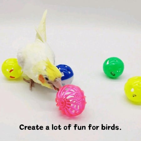 مجموعة ألعاب للطيور 9 قطع