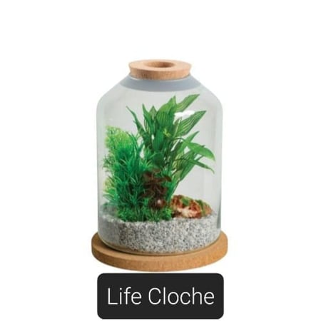 أحواض لايف اكواريوم تصميم عصري