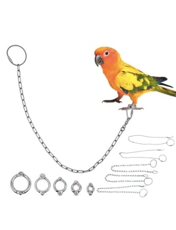 هارنس من الفولاذ المقاوم للصدأ مع خاتم للقدم 50 سم