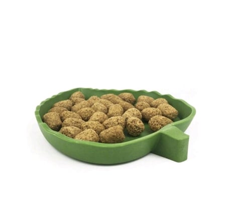 وعاء تغذية السلاحف والزواحف