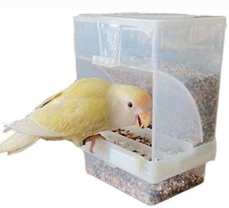 أكالة طيور ذكية اوتوماتيكية