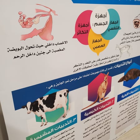 لوحة تعليمية خصائص و أنواع الثديات