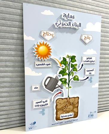 لوحة مجسمة ( عملية البناء الضوئي )