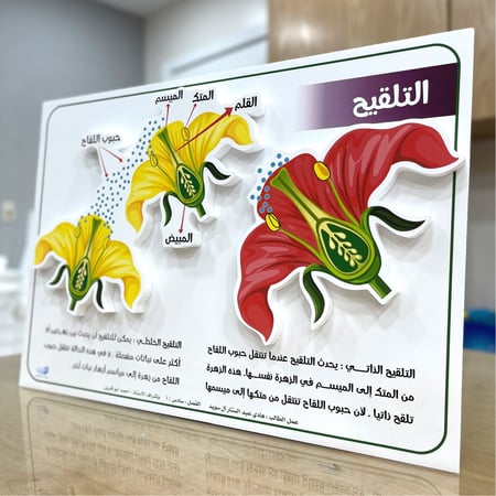 لوحة تعليمية مجسمة ( التلقيح )