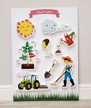 لوحة مجسمة ( وحدة النبات )
