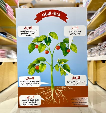 لوحة تعليمية ( أجزاء النبات ) / عربي