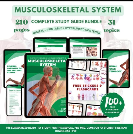 Musculoskeletal System - الجهاز العضلي الهيكلي