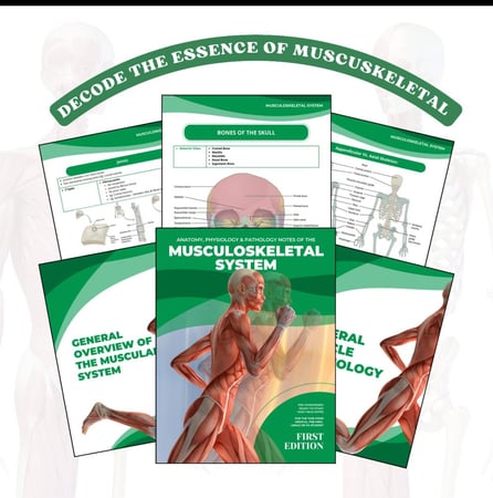 Musculoskeletal System - الجهاز العضلي الهيكلي