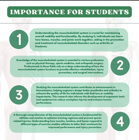 Musculoskeletal System - الجهاز العضلي الهيكلي
