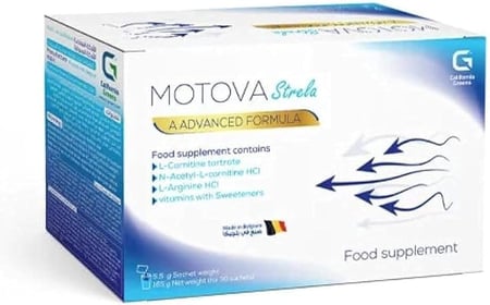 موتوفا ستريلا motova strela